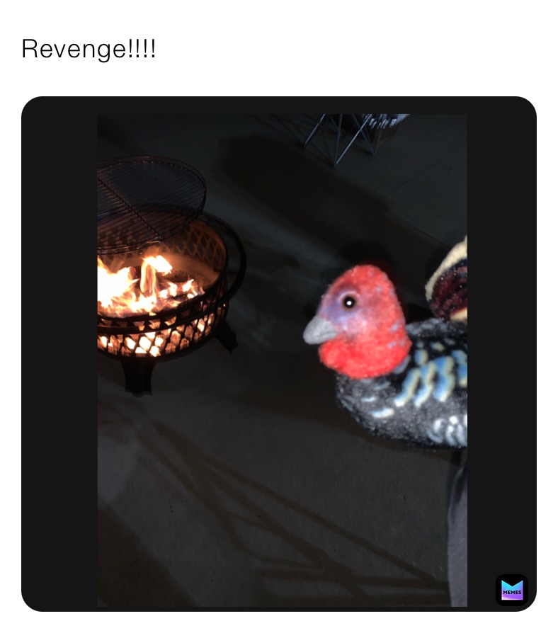 Revenge!!!!