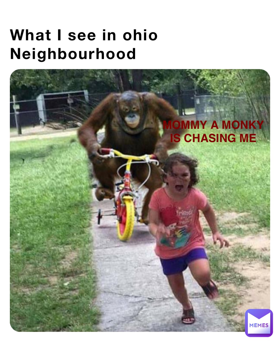What I see in ohio Neighbourhood MOMMY A MONKY IS CHASING ME