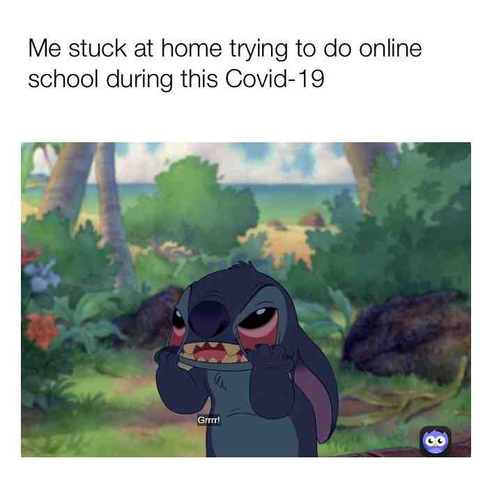 I felt like I needed a meme to describe my feeling during online school and Covid and stuff!