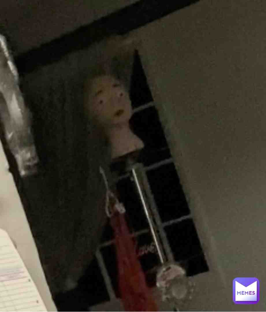 Some manakin head that was at store