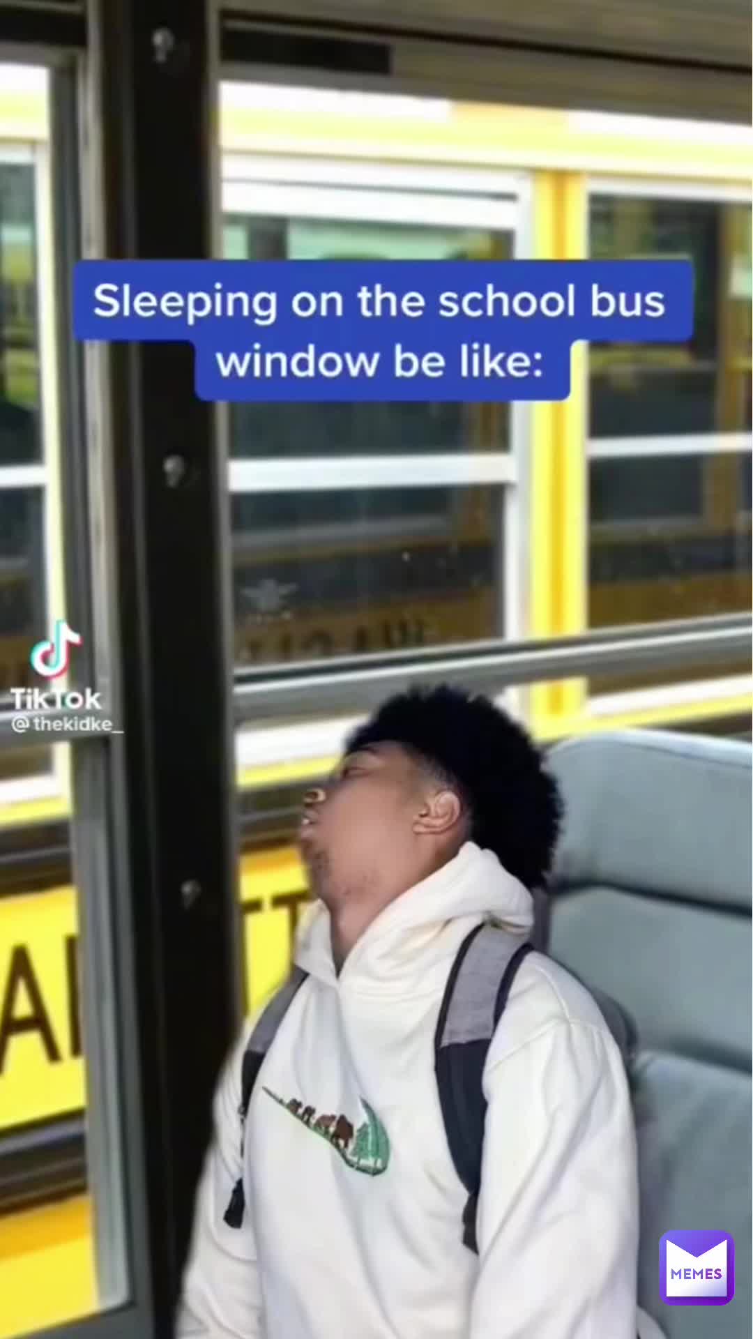 Meme shared by @Vligerous_Hell