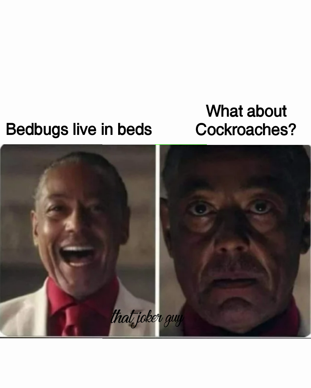 Meme by ThatJokerGuy