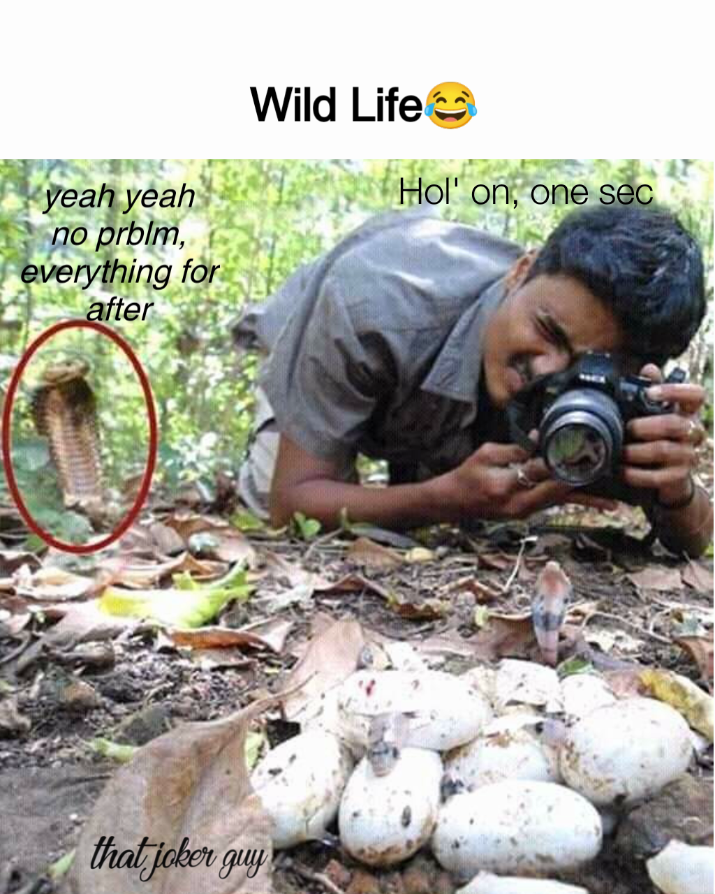 Meme by ThatJokerGuy