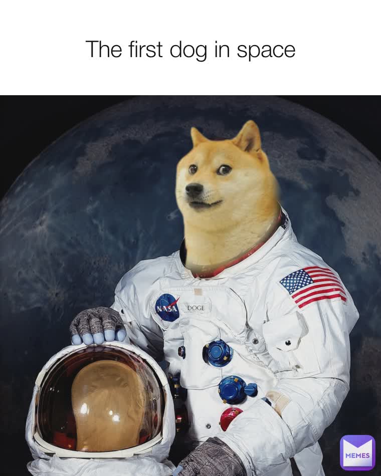 The first dog in space