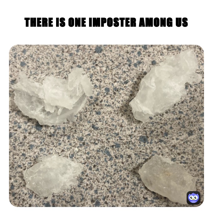 THERE IS ONE IMPOSTER AMONG US