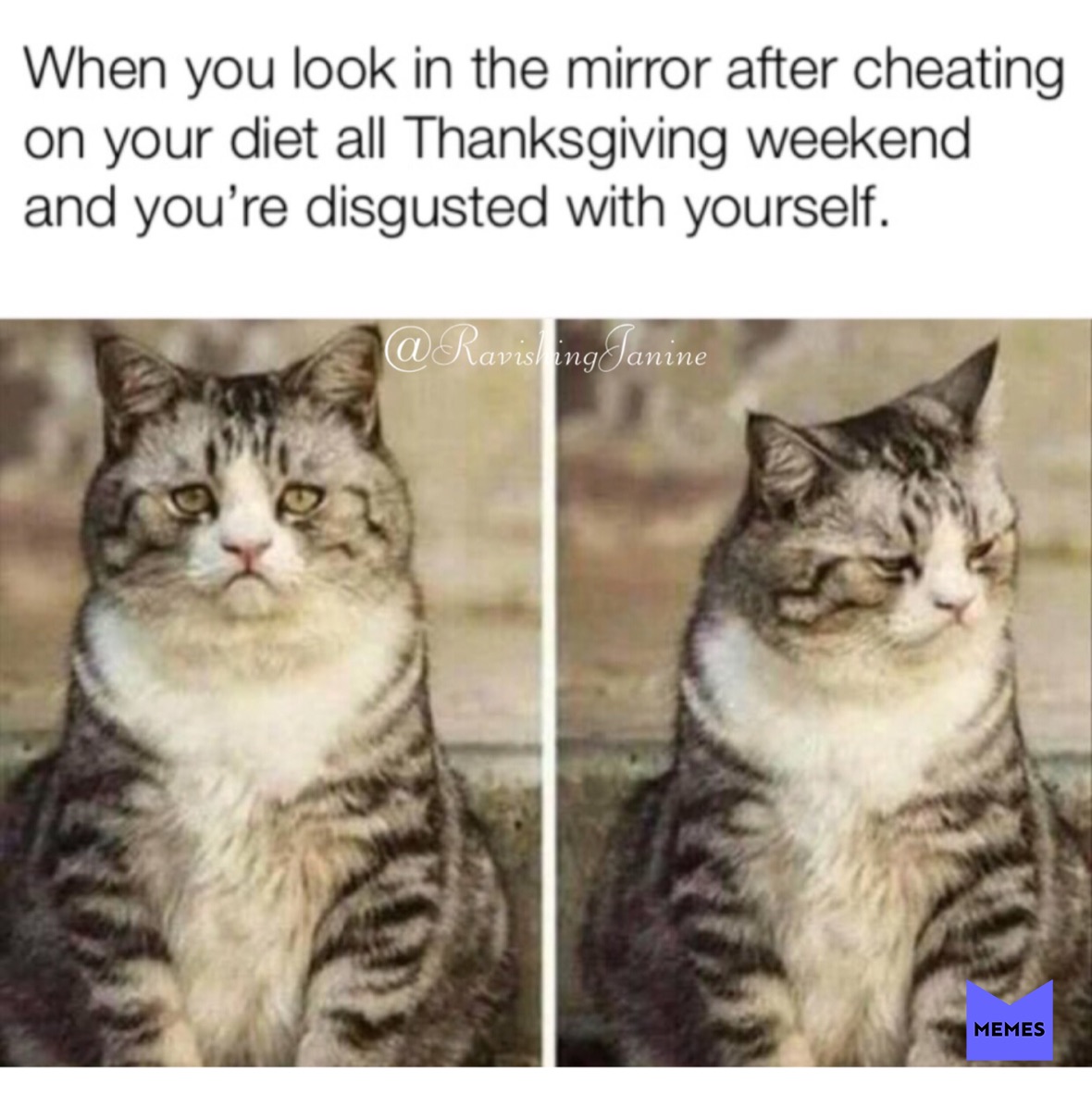 Meme by ravishingjanine