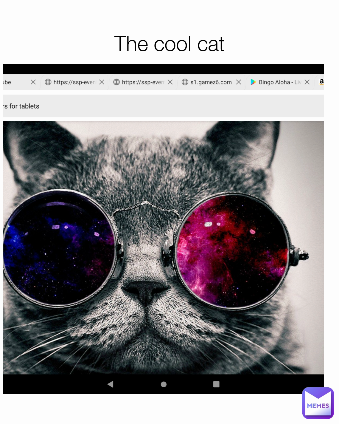 The cool cat