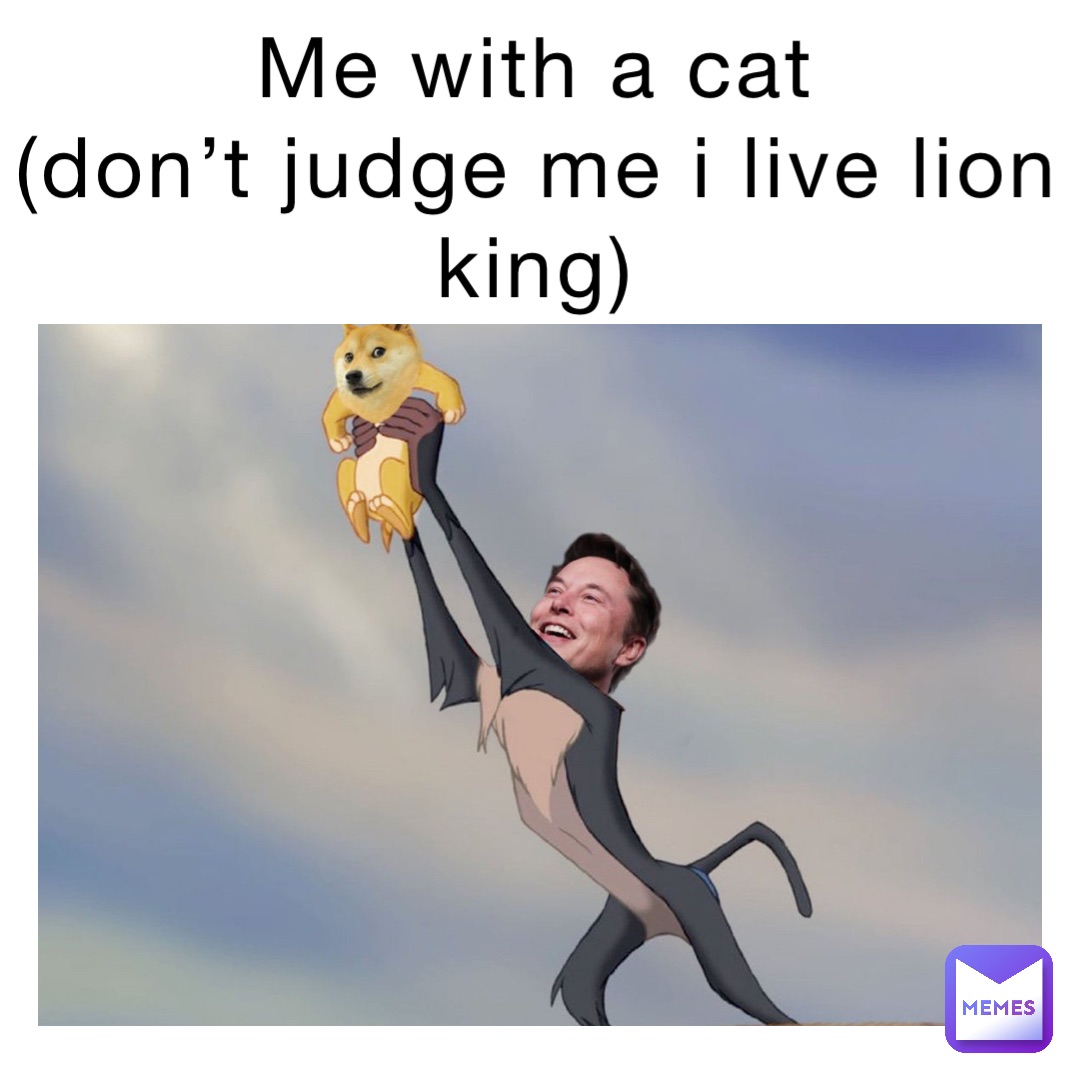 me with a cat
(Don’t judge me I live lion king)