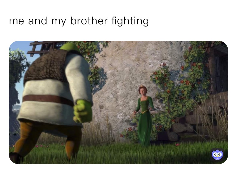 me and my brother fighting