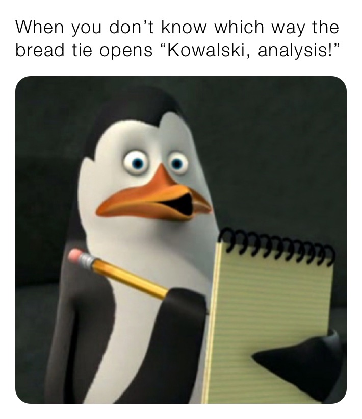 When you don’t know which way the bread tie opens “Kowalski, analysis!”