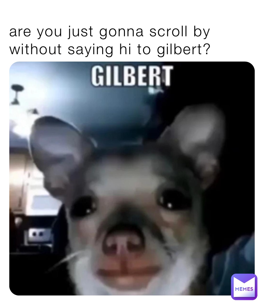 are you just gonna scroll by without saying hi to gilbert?