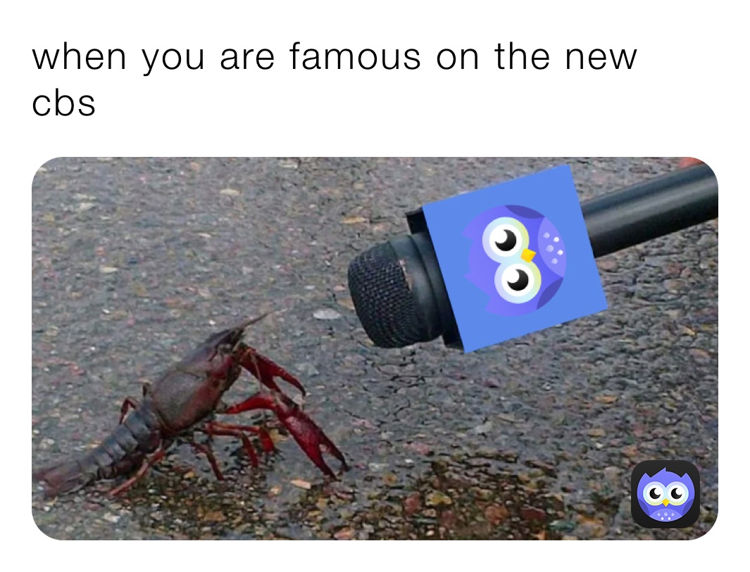 when you are famous on the new cbs
