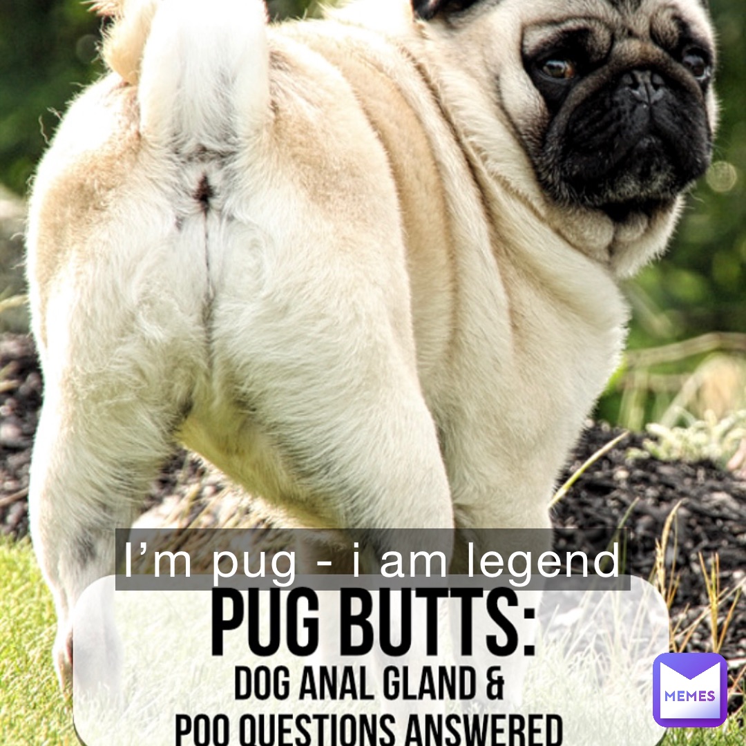 I’m PUG - I AM LEGEND