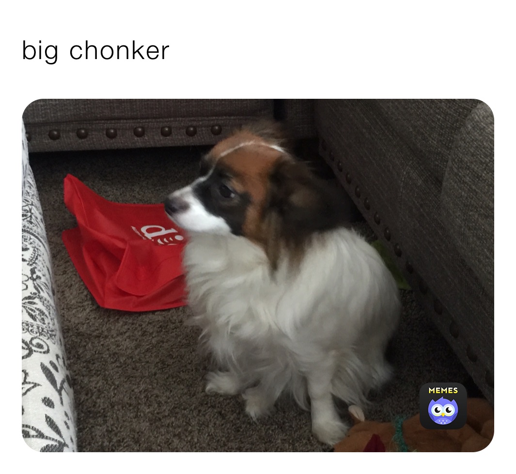 big chonker