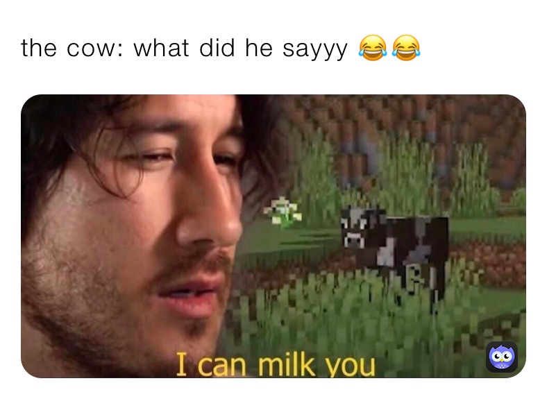 the cow: what did he sayyy 😂￼😂