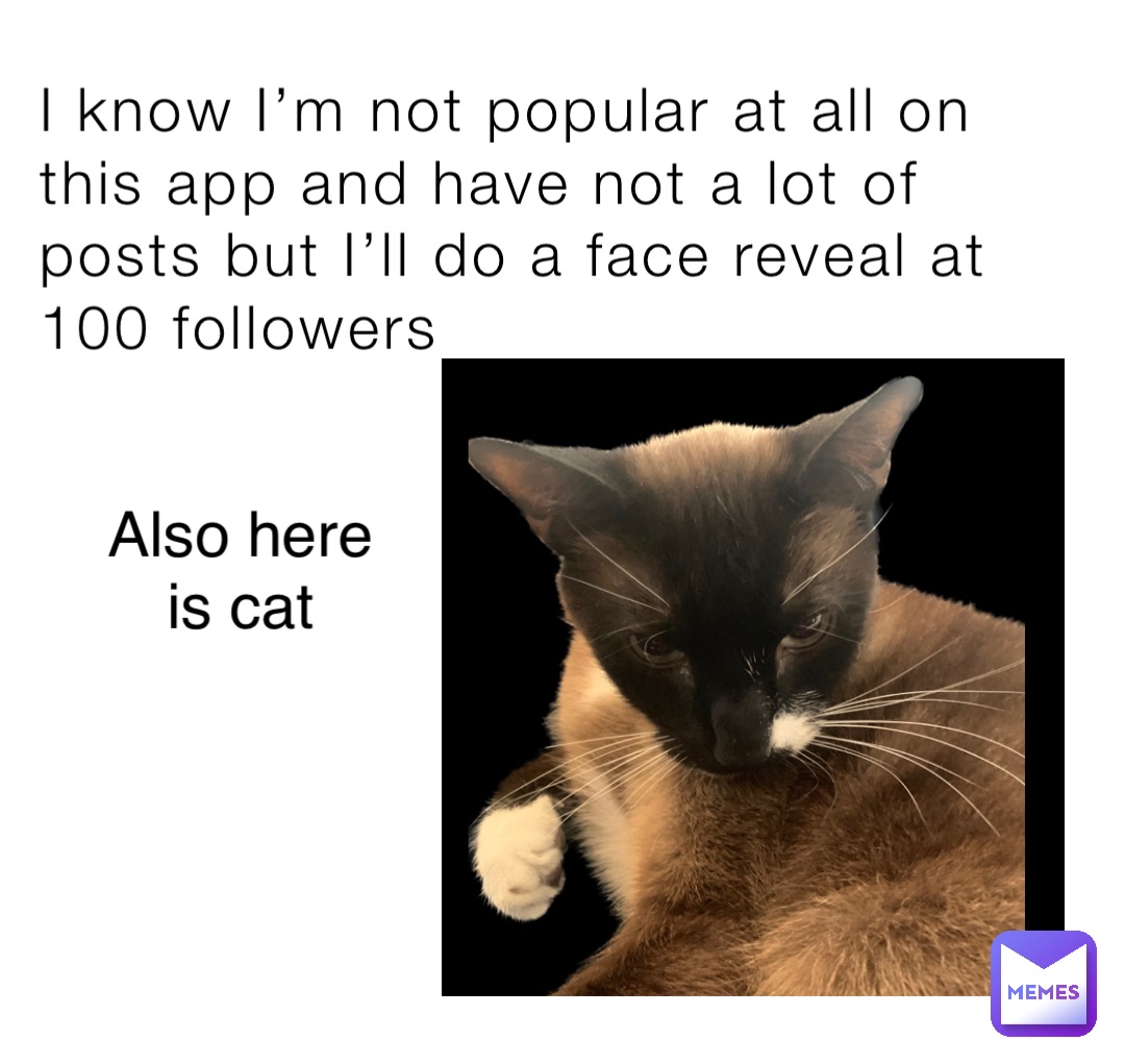I know I’m not popular at all on this app and have not a lot of posts but I’ll do a face reveal at 100 followers Also here is cat