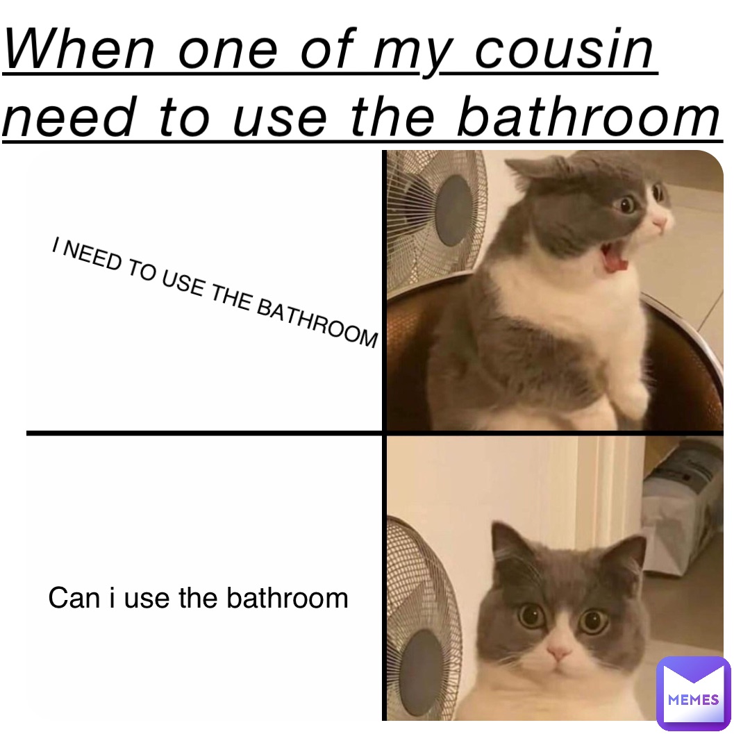 When one of my cousin need to use the bathroom I NEED TO USE THE BATHROOM Can i use the bathroom