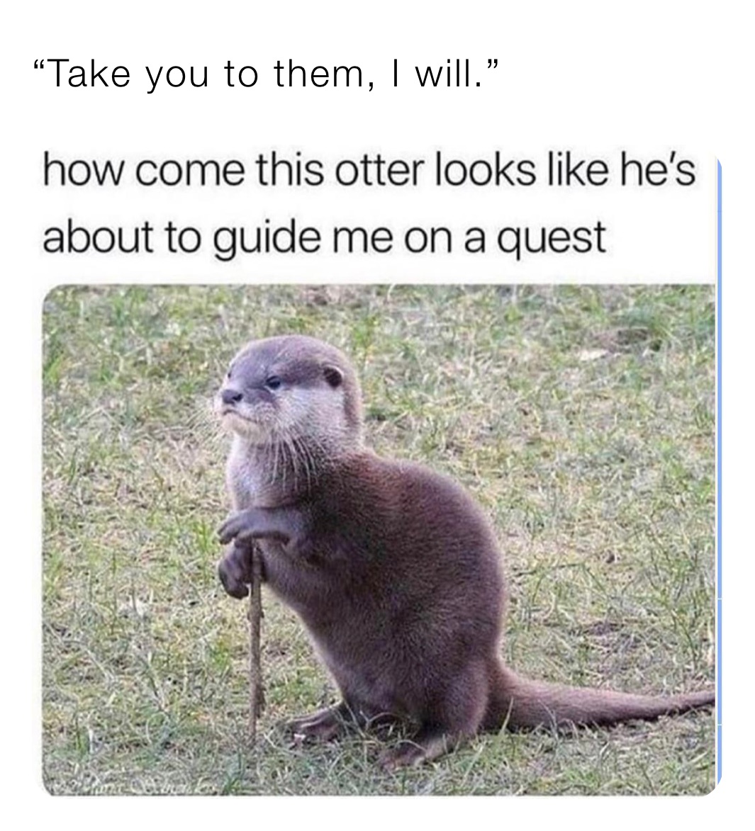 Meme by brianpickens99