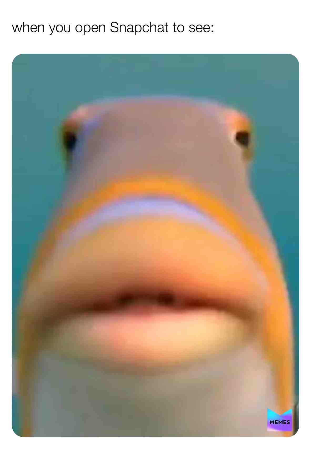 Meme shared by @taebak