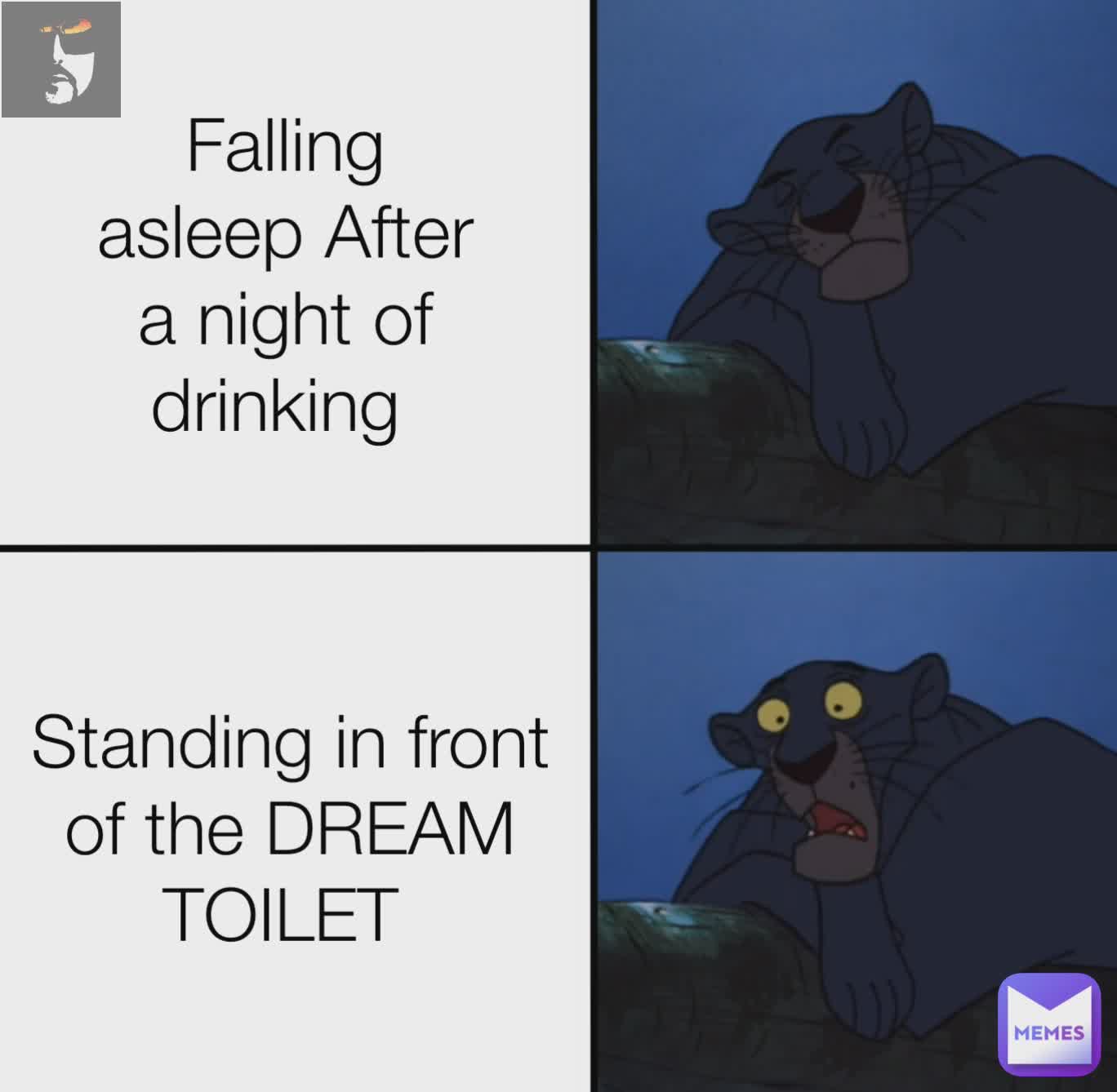 Falling asleep After a night of drinking  Standing in front of the DREAM TOILET 