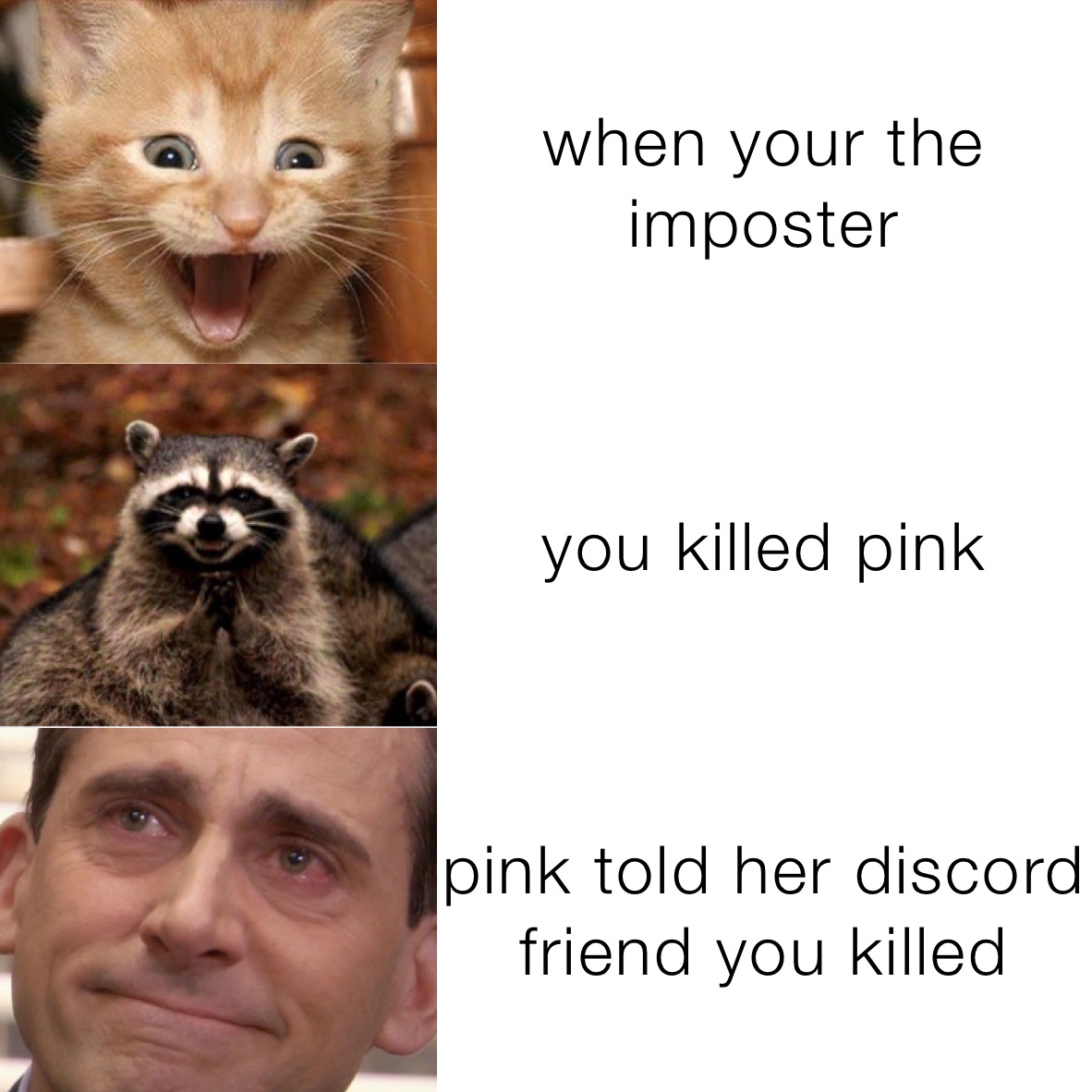 when your the imposter  you killed pink  pink told her discord friend you killed