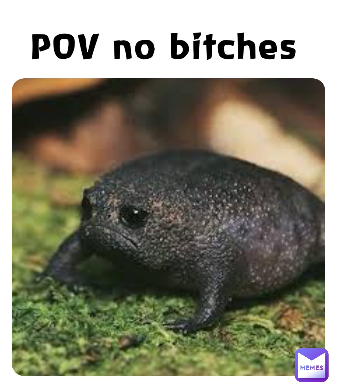 Meme by MemerMemeBeegBoi