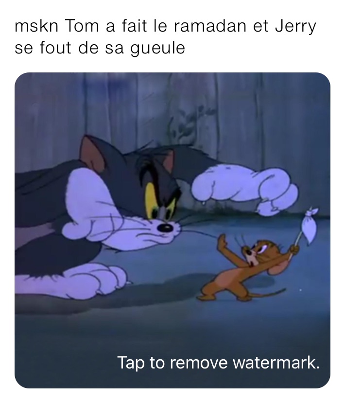 mskn Tom a fait le ramadan et Jerry se fout de sa gueule