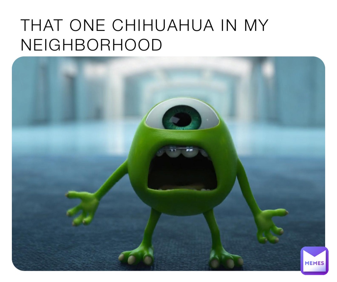 THAT ONE CHIHUAHUA IN MY NEIGHBORHOOD