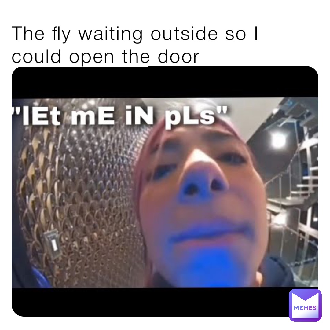 The fly waiting outside so I could open the door