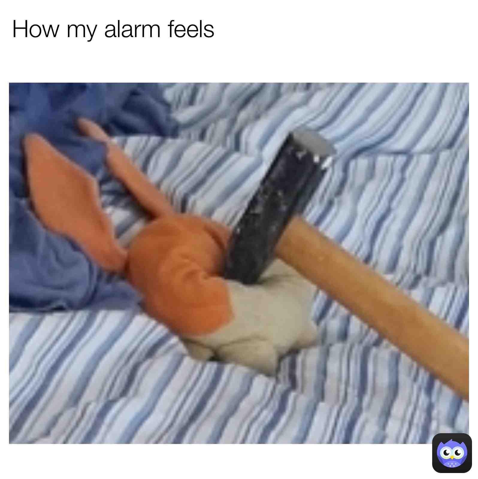 Meme shared by @Fanxetmemes
