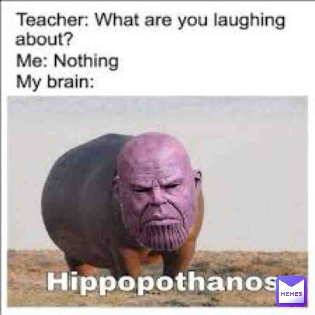 Meme preview