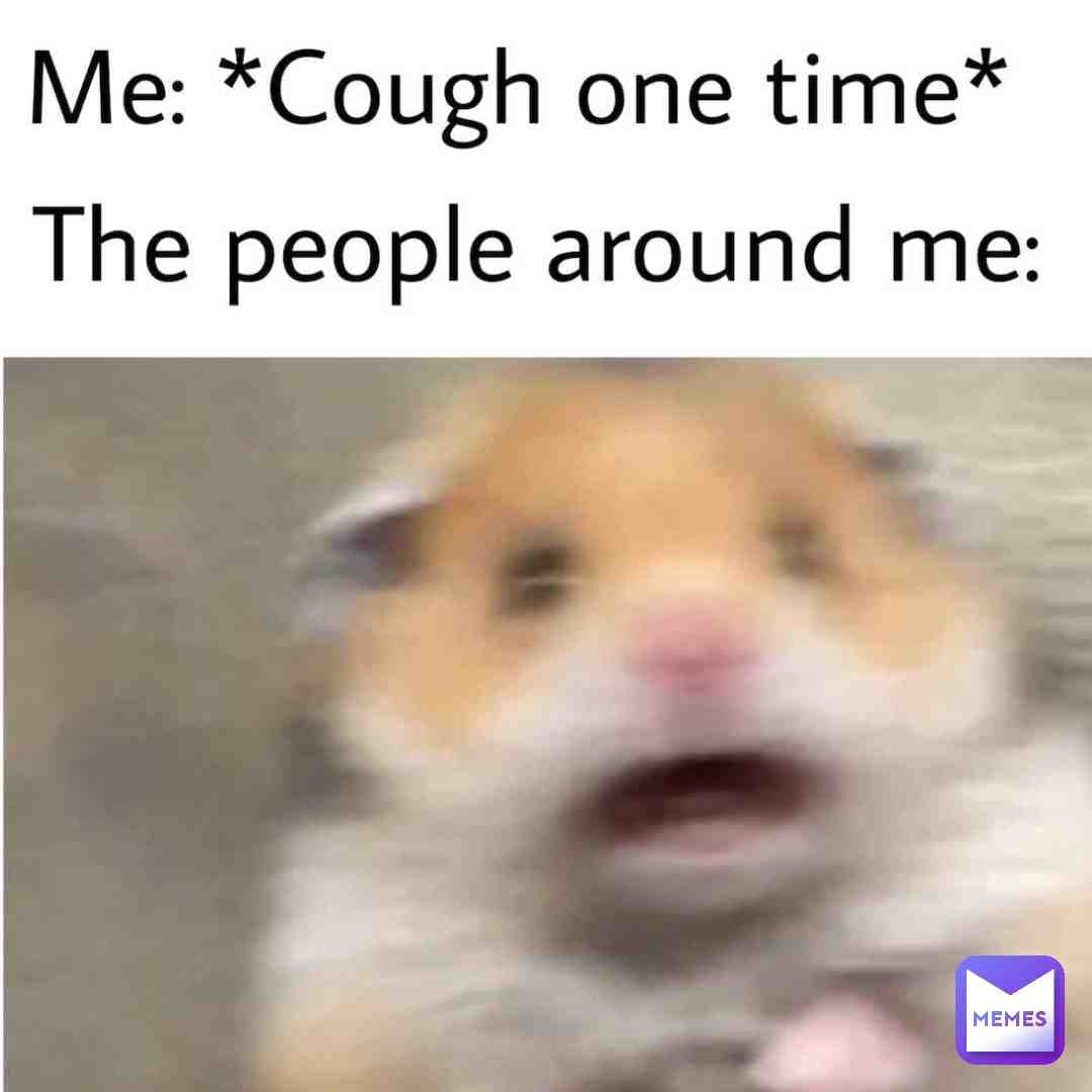 Meme preview