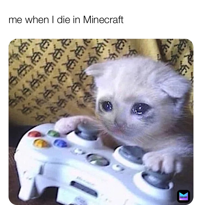 Meme by nevaeh_hernandz10