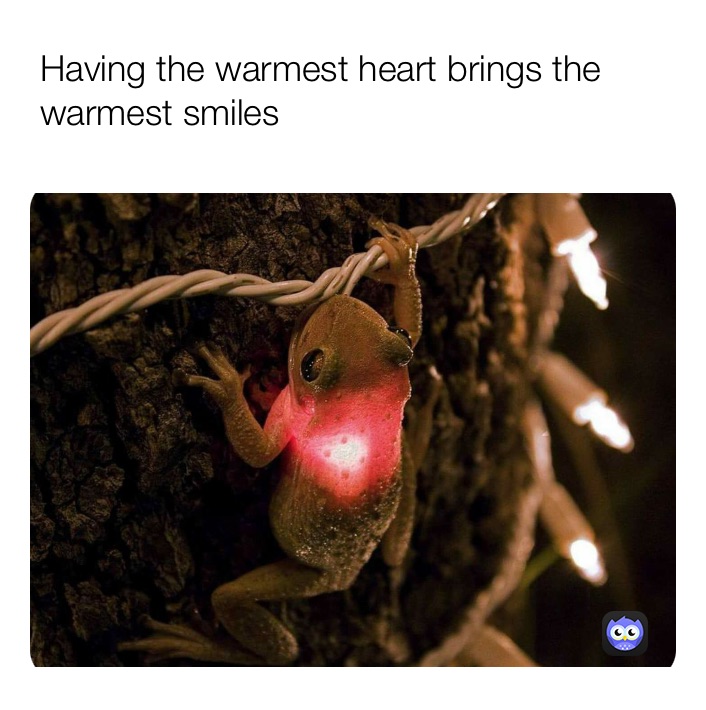 Meme by Drakkon_Memeke