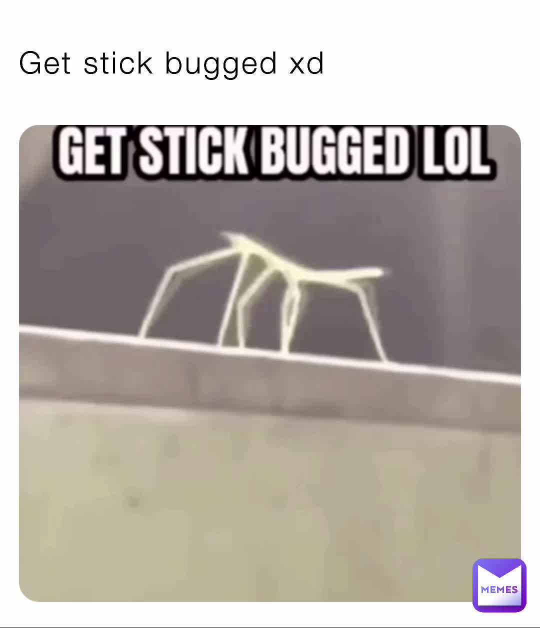 Get stick bugged xd | @Fice | Memes