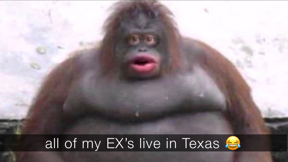all of my EX’s live in Texas 😂