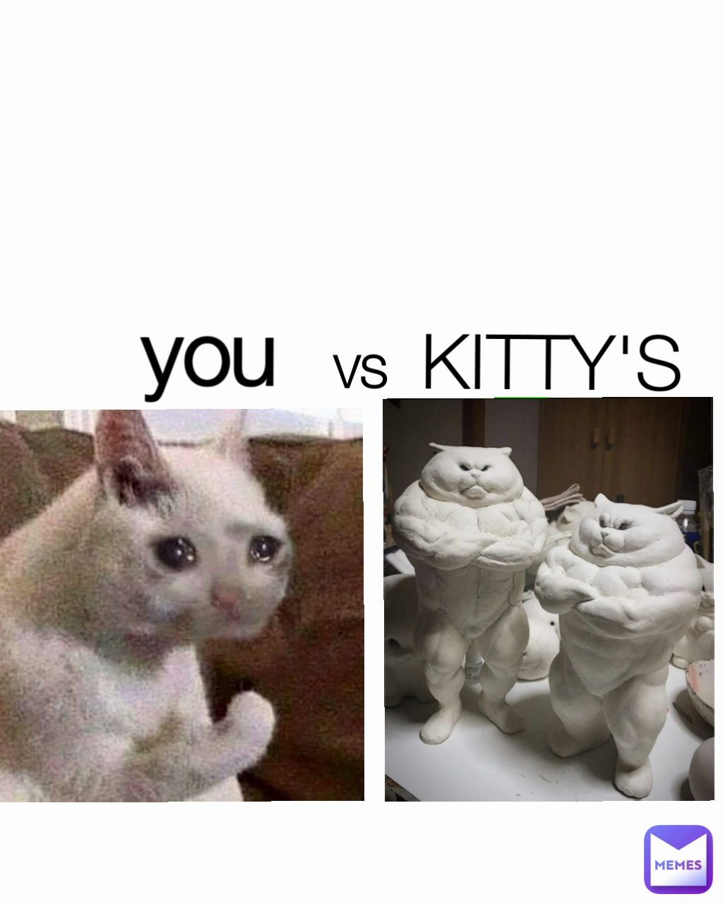 you VS KITTY'S