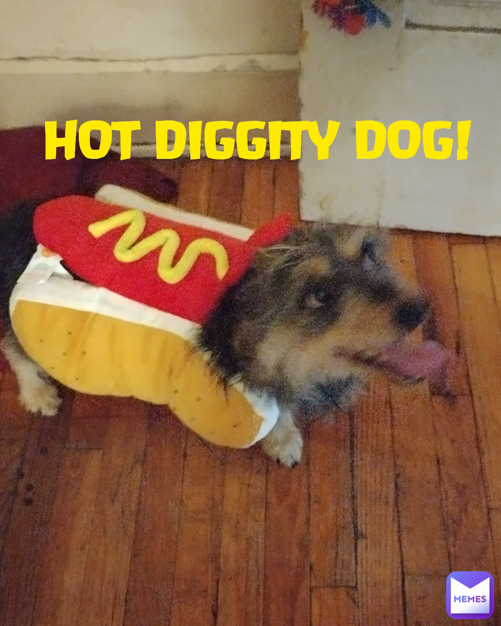 HOT DIGGITY DOG!