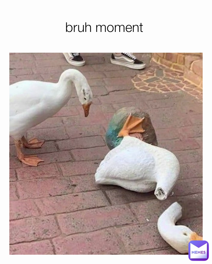 bruh moment 