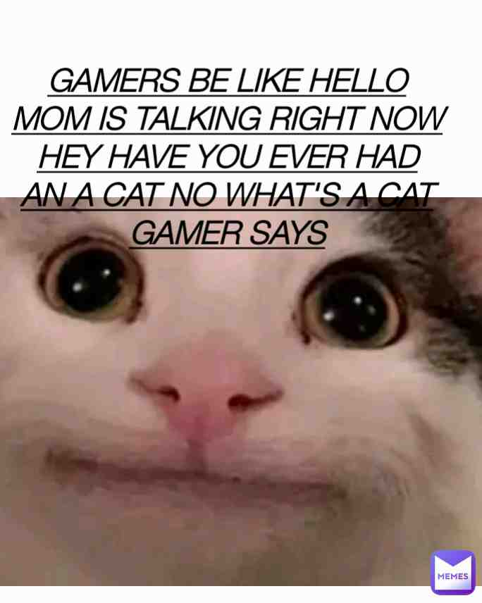 Gamers be like