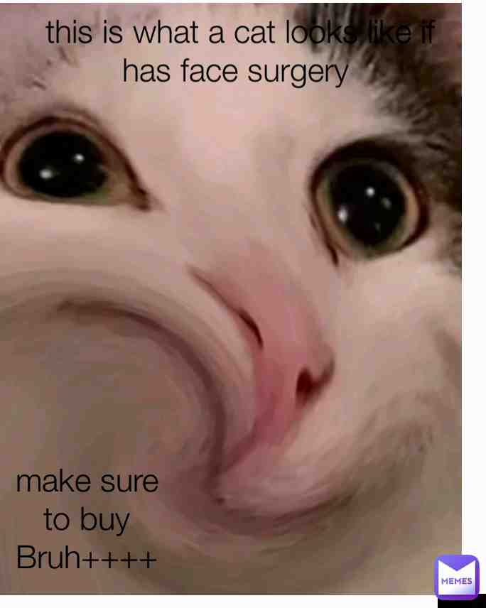 Meme