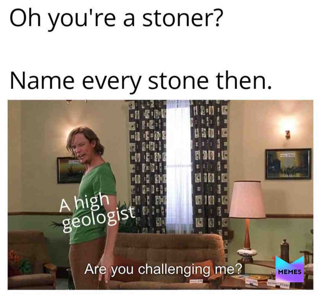 Hes challenging you😂  #shaggy  #meme  #memes  #geologist  #stoner  #memesdaily  #dankmemes