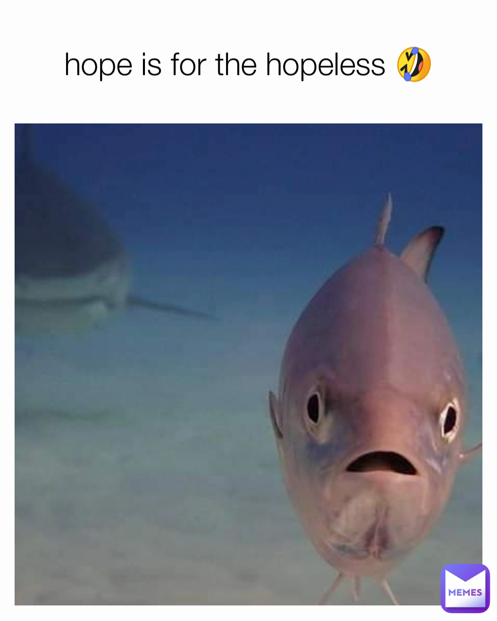 hope is for the hopeless 🤣