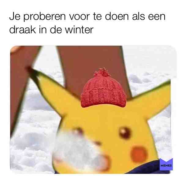 #pikachu #dutch