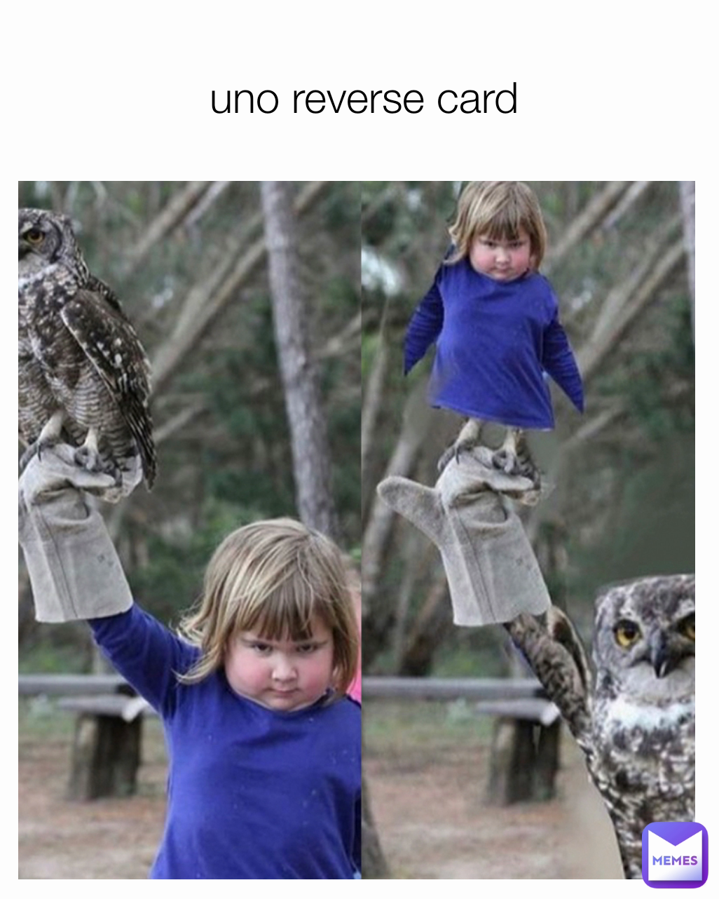 uno reverse card
