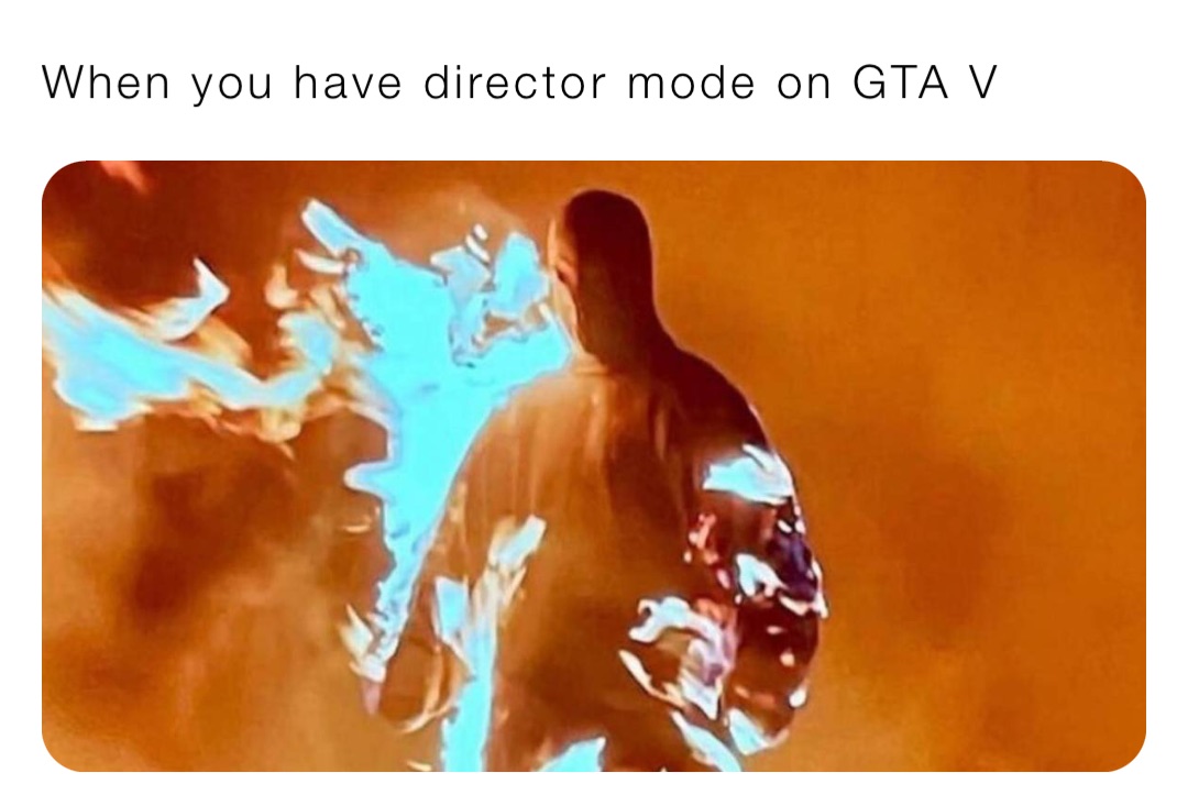 When you have director mode on GTA V