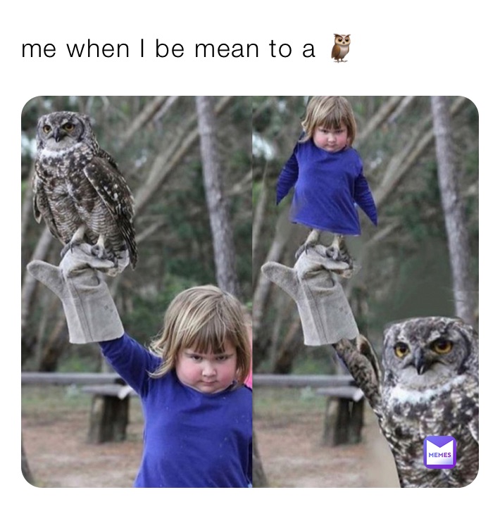 me when I be mean to a 🦉 