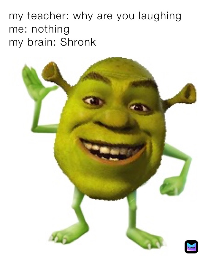 my teacher: why are you laughing
me: nothing
my brain: Shronk