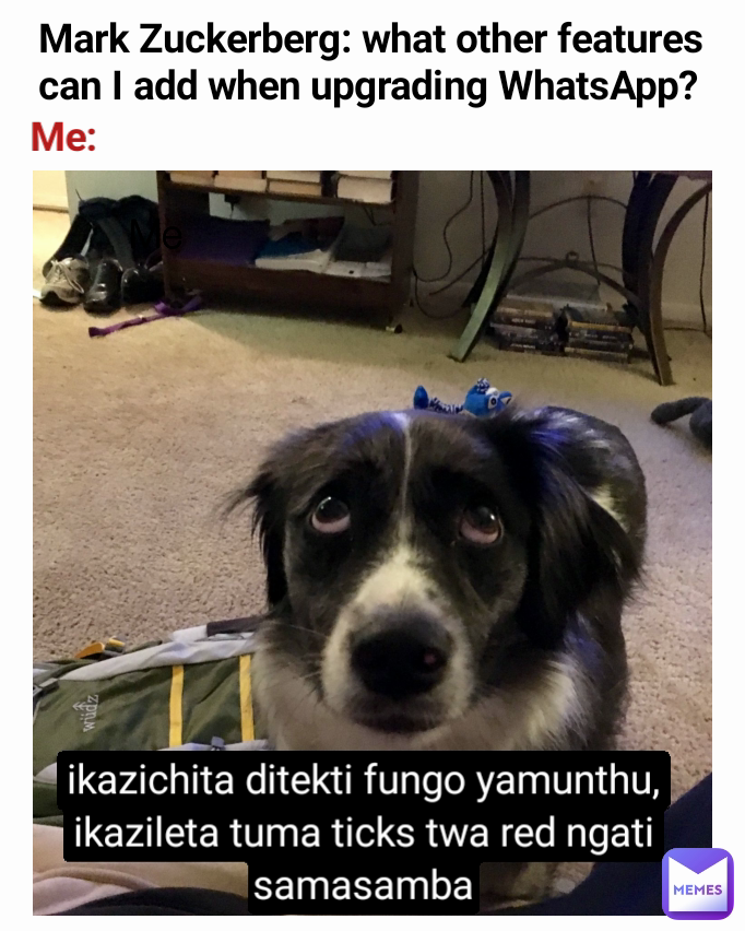 Me ikazichita ditekti fungo yamunthu, ikazileta tuma ticks twa red ngati samasamba Mark Zuckerberg: what other features can I add when upgrading WhatsApp? Me: