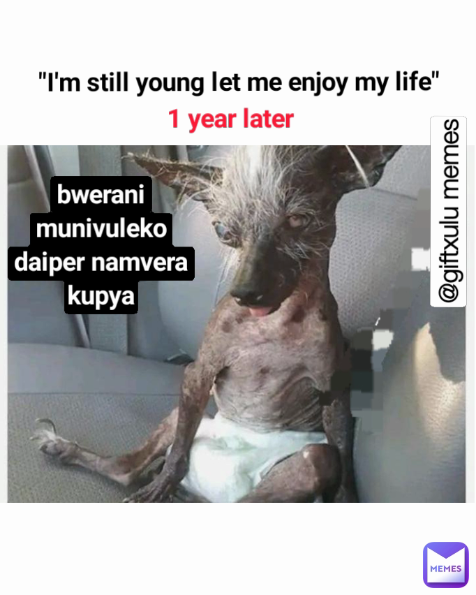 "I'm still young let me enjoy my life" bwerani munivuleko daiper namvera kupya @giftxulu memes 1 year later